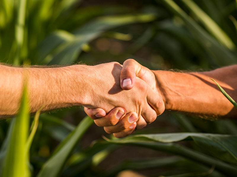Apretón de manos entre agricultores en un campo